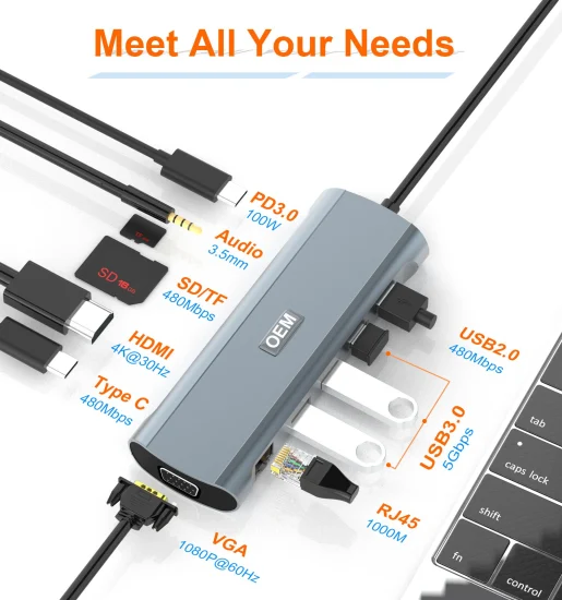 12 in 1 USB-C Hub Audio SD TF USB2.0 C Docking Station 2 HDMI VGA RJ45 Gigabit Network Pd Type-C USB Hub